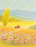 �����������ǲ�֤����碌�ζ��ˡ�