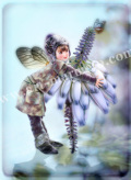 �����������ǲ��B-Bridal Heath��