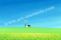 �վ������ǲ�ֽդ�����