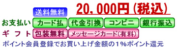 20000