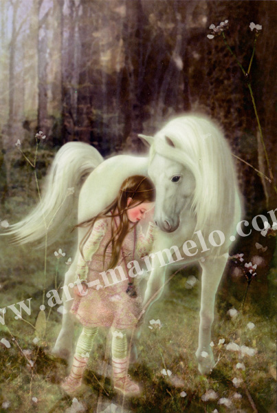 横田美晴のポストカード額装「The forest early spring」