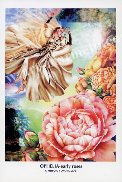 横田美晴のポストカード「OPHELIA-early roses」