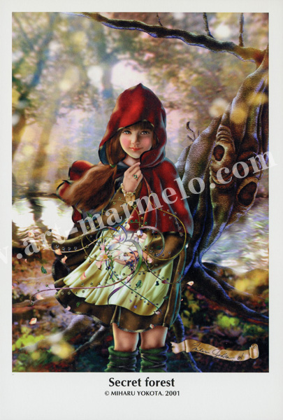 横田美晴のポストカード額装「Secret forest」