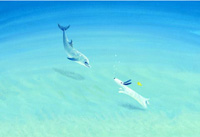 ジェイクとドルフィン200