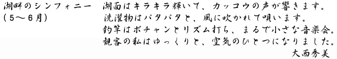 大西秀美「湖畔のシンフォニー」キャプション