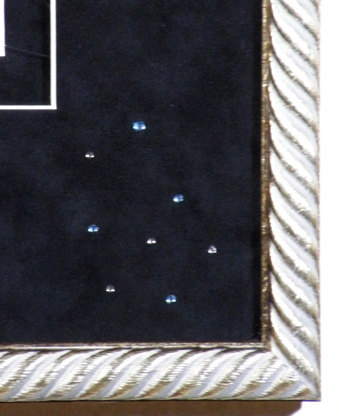 FA07028cPreening Pixie