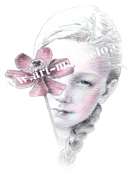 松原健治「チョコレートコスモス」 自筆サイン、エディションナンバー