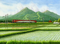 夏が生まれる場所へ200