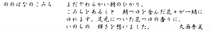 大西秀美「ののはなのこみち」キャプション