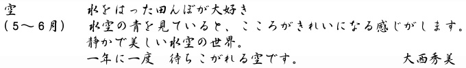 大西秀美「空」キャプション