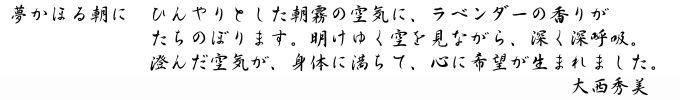 大西秀美「夢かほる朝に」キャプション
