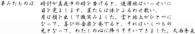 大西秀美「夢みたものは」キャプション
